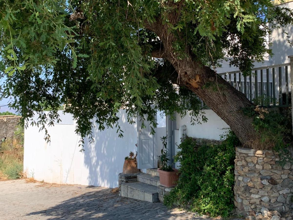 فيلا Moeses House Asfendiou المظهر الخارجي الصورة